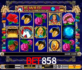 Descubra o Mundo do Cassino Online com bet858